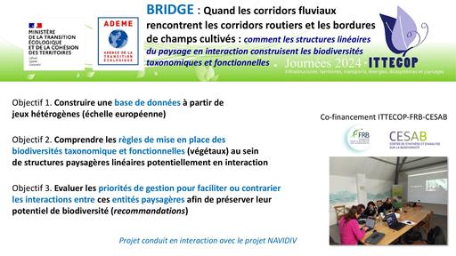 Journee ITTECOP 2024 Session 3 2 BRIDGE