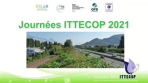 ITTECOP 2021 0 Intro