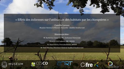 02 03 LEROUX Camille “Effet des éoliennes sur l'utilisation des habitats par les chiroptères”