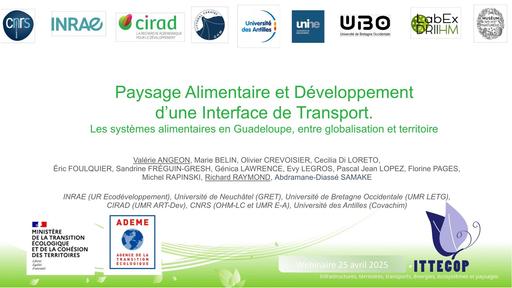 2025 04 25 webinaire PADIT